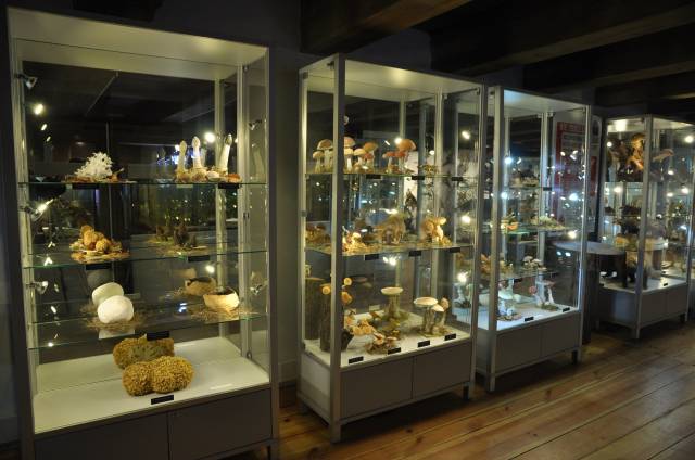Museum in Brodnica - Ecological Education Center