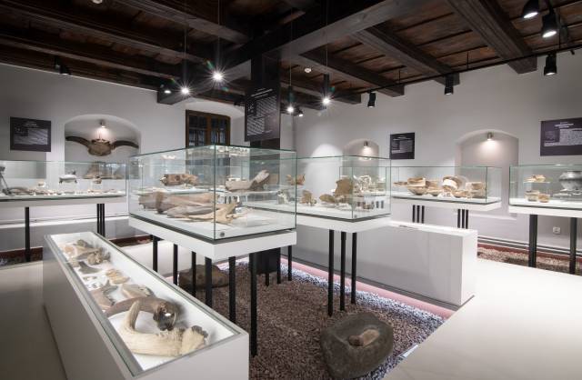 Pradzieje Kujaw i ziemi dobrzyńskiej